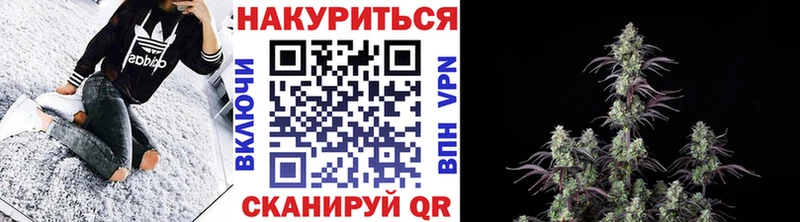 darknet наркотические препараты  Бахчисарай  Бошки Шишки OG Kush 